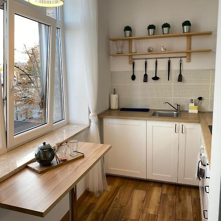 Appartement Mlynska2 à Bielsko-Biała Extérieur photo