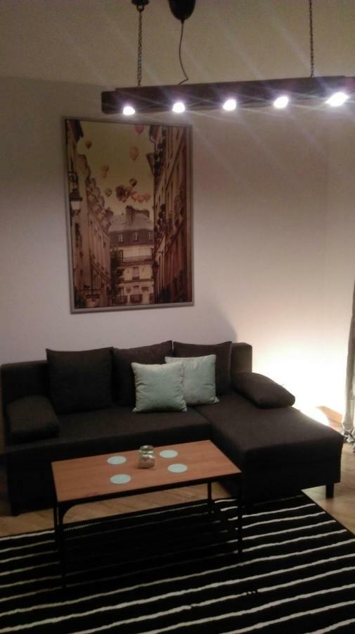 Appartement Mlynska2 à Bielsko-Biała Extérieur photo